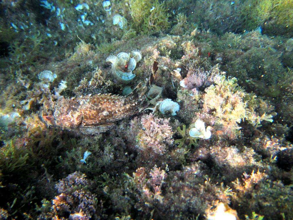 Sea Of Eden Dubrovnik Exterior foto